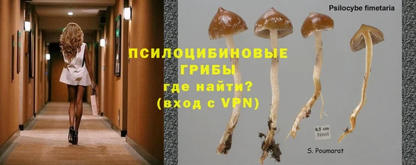 прущий лед Алексеевка