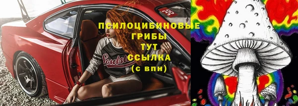 бошки Абаза